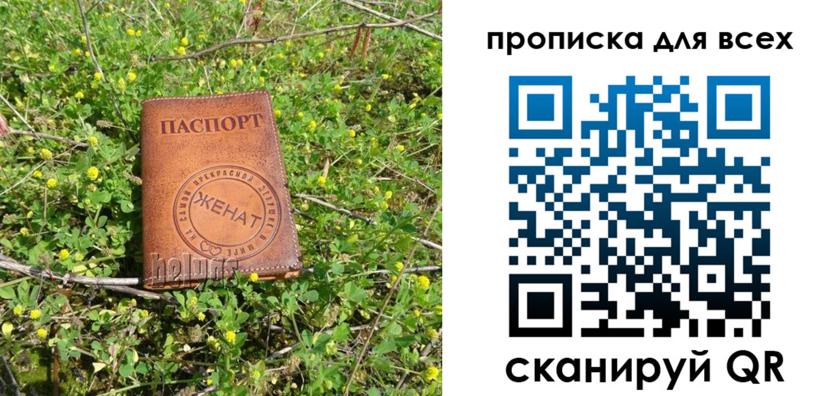 прописка поиск в Омутнинске